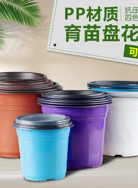 双色盆加厚蓝色白色扦插育苗花盆塑料营养钵小大厂家庭草莓多肉