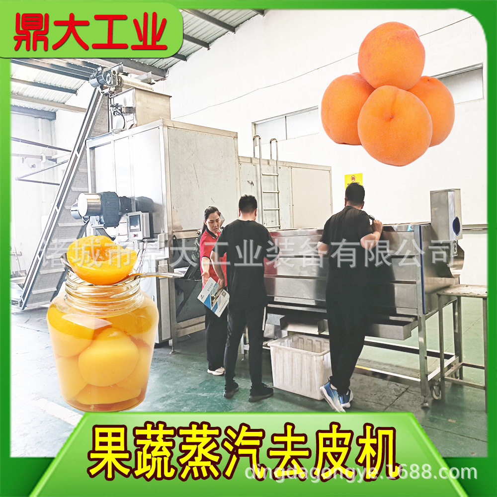 隆坤蒸汽去皮机全自动果蔬脱皮黄桃葡萄罐头加工设备流水线现货