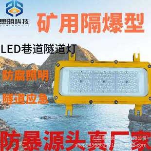 海洋led隧道防爆灯隔爆夹层支架灯隧道吸顶灯应急灯照明电缆节能