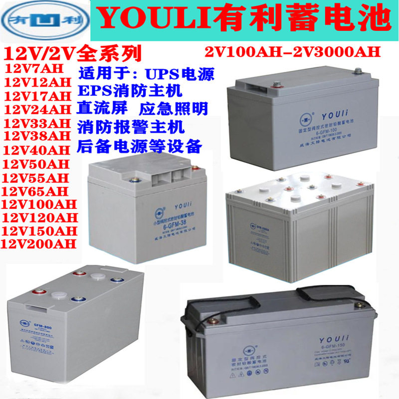 威海文隆有利蓄电池GFM-300/2V300AH100A150A200A400A500A600A800