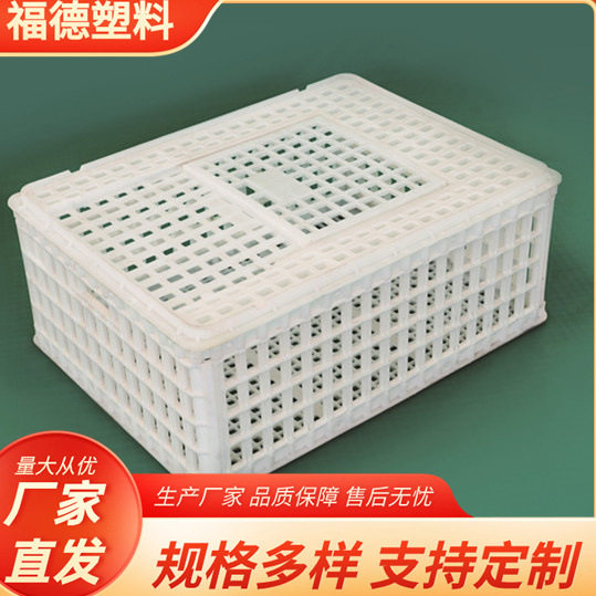 鸡用周转箱大号养殖成鸡鸭鹅鸽兔周转箱中兴运输鸡筐批发
