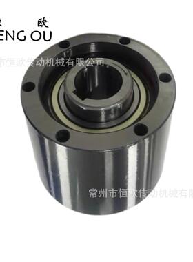 抛光机用超越离合器MZ30G-22