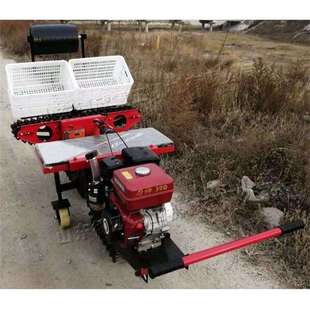 农用大葱移栽器履带底盘葱苗移植机乘坐式单双行大葱移栽机