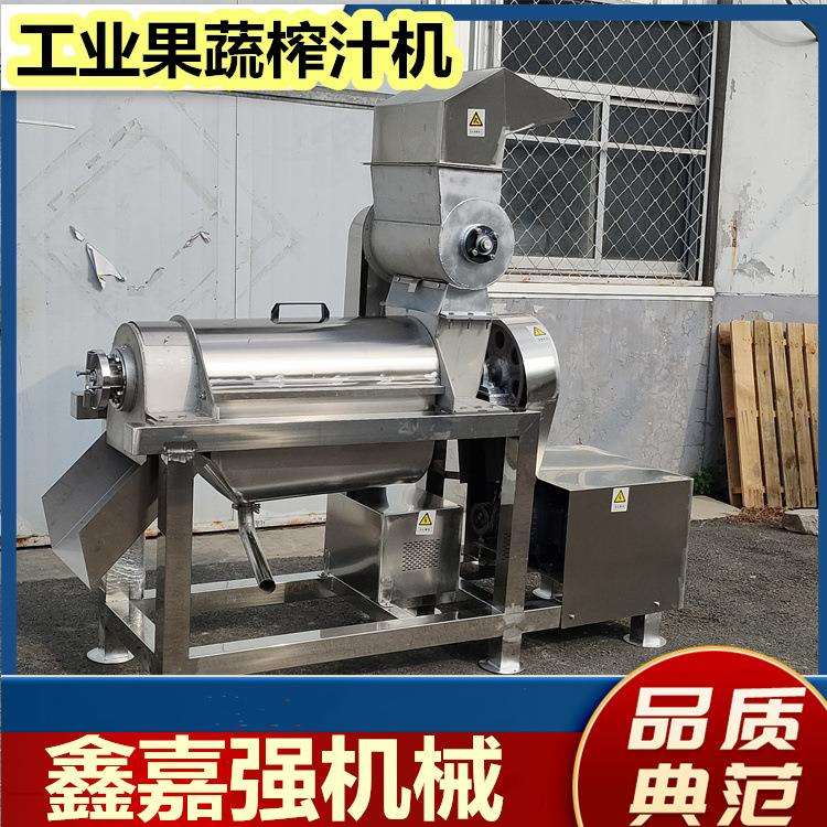 商用雪花梨清洗果汁机流水线菠萝破碎挤汁机芒果杨梅去核打浆机