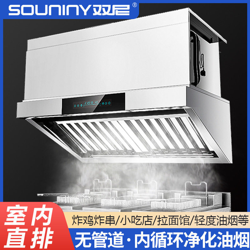 双尼商用油烟净化一体机大吸力