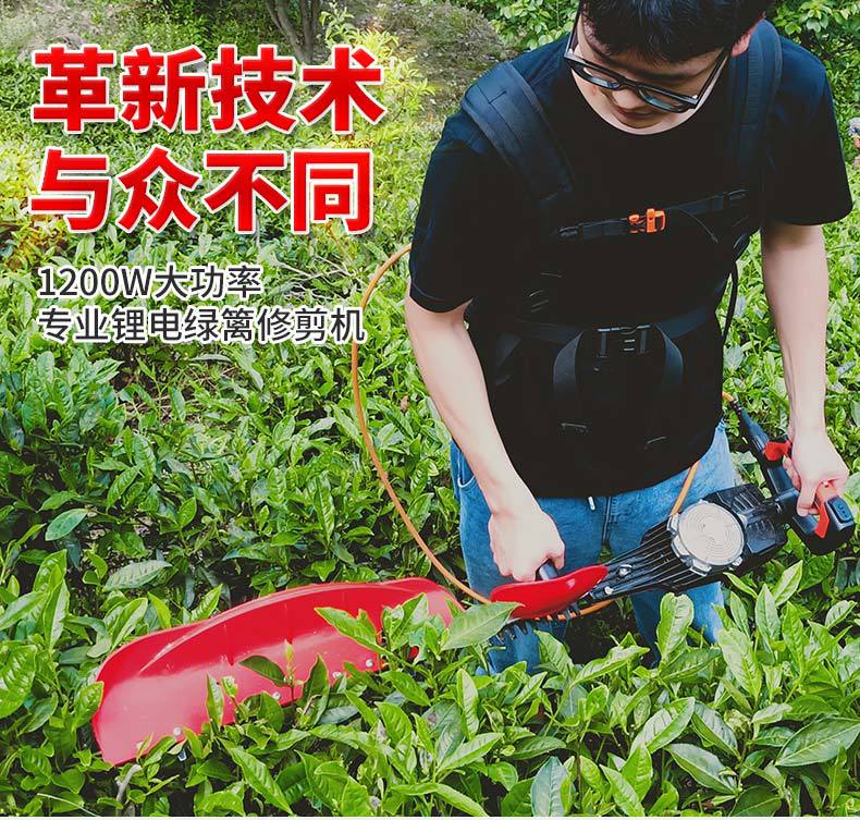 出口锂电绿篱机 充电式篱笆剪汽油园林修枝剪 家用电动修枝机