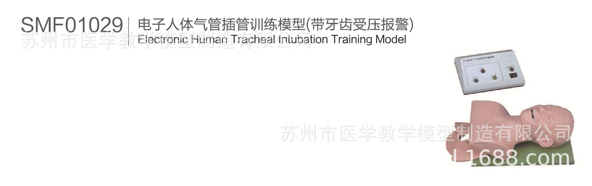 SMF01029气管插管教学模型报警