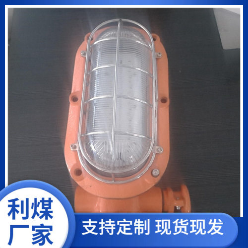 矿用隔爆本安LED支架灯