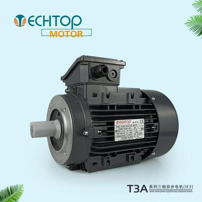 特波TECHTOP电机现货MS系列T系列三相异步感应电动机机械设备用