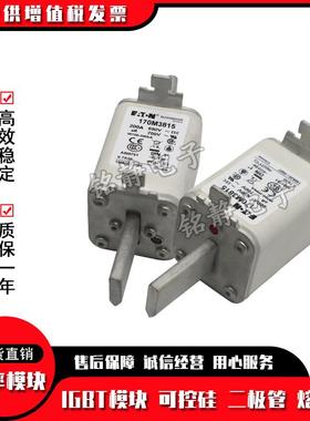 170M3815D170M3816D170M3817D170M3818D巴斯曼熔断器170M3819D