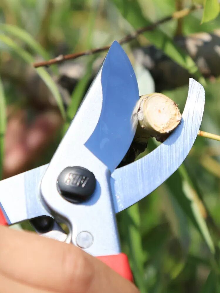 ARS爱丽斯120EU园林修剪工具剪果树绿化剪花艺修花剪枝剪刀修枝