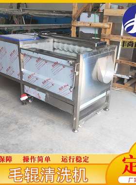 全自动花生毛辊清洗机设备果蔬毛辊去皮清洗机羊蹄子清洗机设备