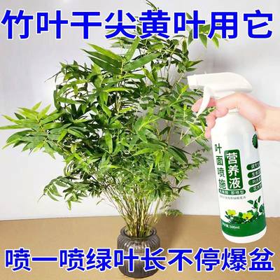 花草营养液通用米竹营养液竹子凤尾竹植物肥料水培叶面喷施叶绿素