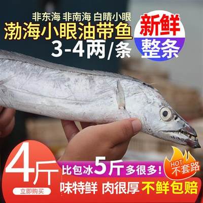 新鲜大带鱼整条4斤 渤海特大速冻海鲜水产刀鱼整箱小眼带鱼