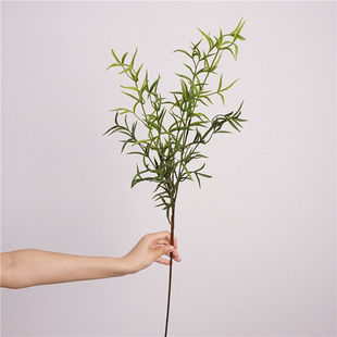 仿真蕨类植物汉帝蕨叶枝头迷迭香小绿植家居装饰摆件摄影道具