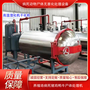 病死猪无害化处理设备牛羊动物尸体湿化机干化机火化机无烟无味