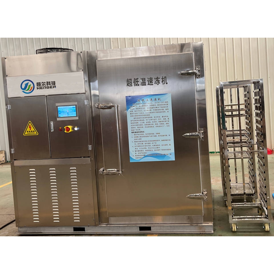 氟利昂速冻机 包子面食水饺速冻机 水果蔬菜肉类大型冷库厂家直销