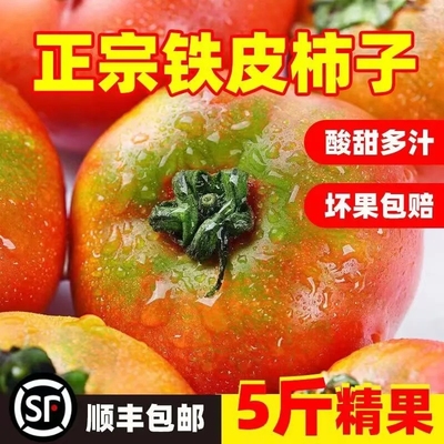 西红柿铁皮草莓新鲜果蔬自然熟