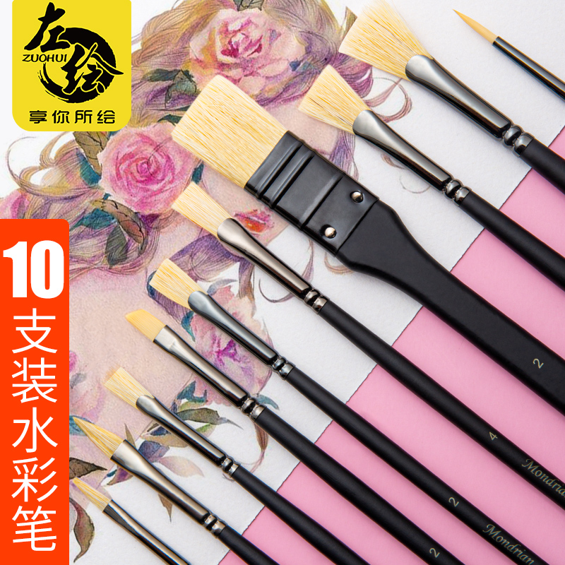 左绘水粉笔套装美术专用色彩丙烯画笔专业颜料笔扇形油画墙绘猪鬃