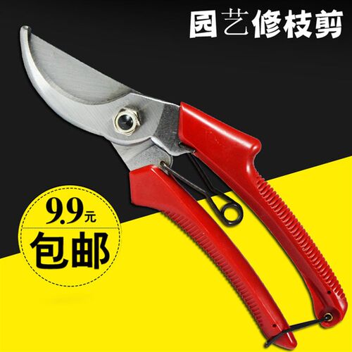 园林花木修剪绿篱剪大剪刀园艺绿化草坪修枝剪工具篱笆剪树枝果剪