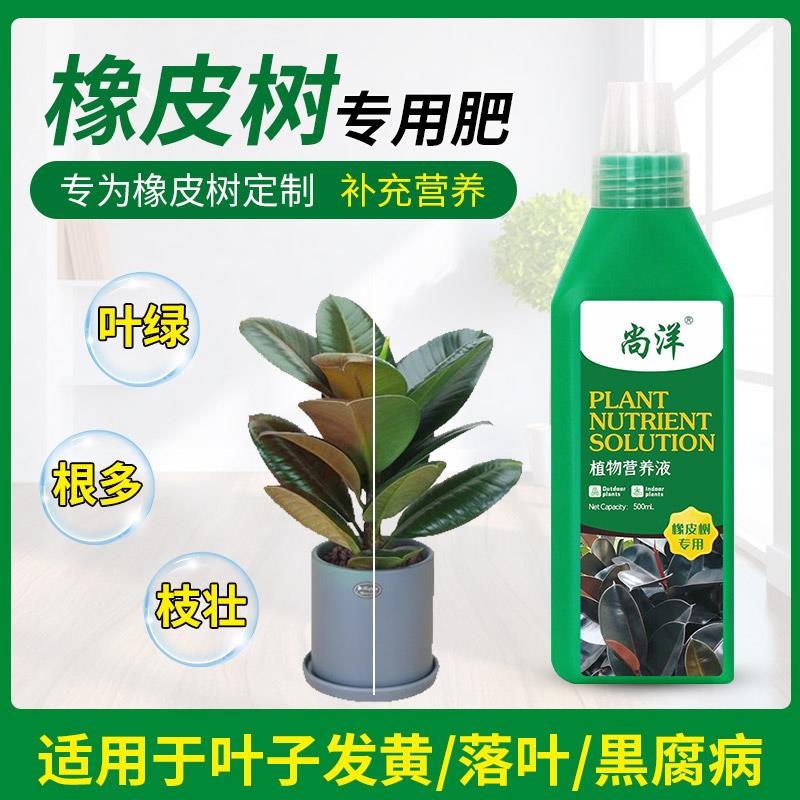 橡皮树专用肥料营养液四季常青黑金刚室内室外盆栽通用型有机肥料图片