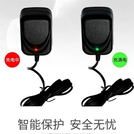 香山/金叶/君凯顺/锐箭/大河/永祥/潼城/大红鹰/电子秤4V6V充电器