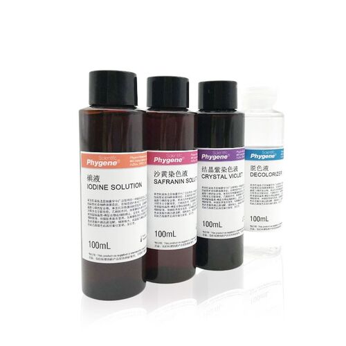快速革兰氏染色液 Grams Stain 细菌染色 [PH1237 PHYGENE]