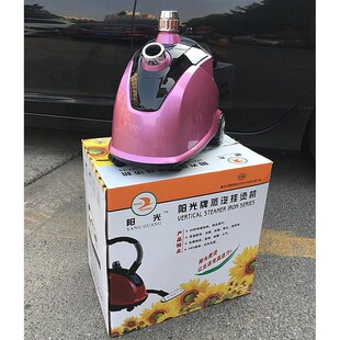合为阳光H-9两档蒸气挂烫机x服装店家用商用蒸气熨斗立式手提电熨