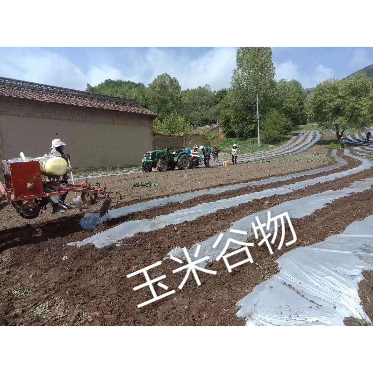 内蒙古乌兰察布4行玉米铺膜播种机3行2行谷物蔬菜膜上打孔播种