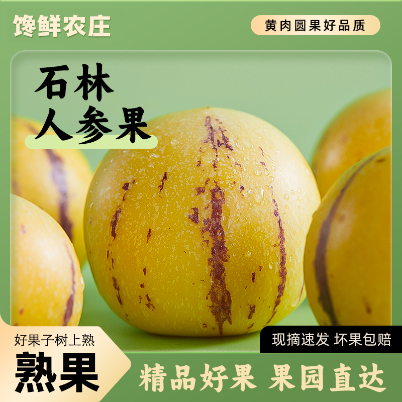 云南石林人参果新鲜多汁当季水果整箱树上熟人参果黄肉人参果大果