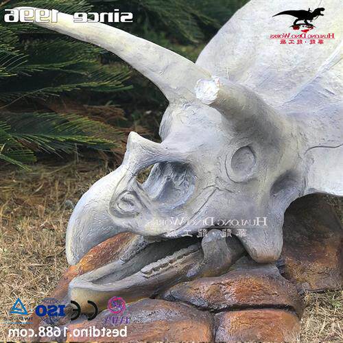 仿真恐龙玻璃钢模型制作工厂三角龙头骨化石骨架科普展览收藏