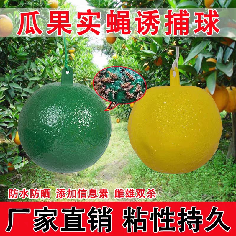 粘虫球柑橘果实蝇诱捕器瓜果针锋专用大实蝇果园菜地悬挂式防虫球