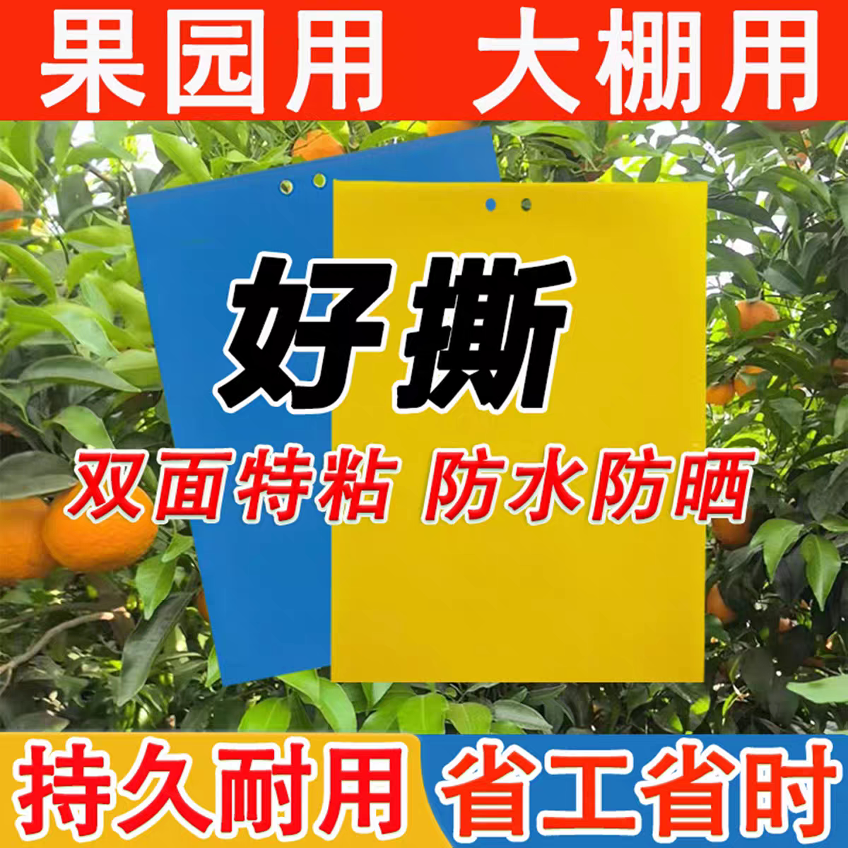 双面粘虫板黄板诱虫板果园大棚防虫板果蝇针蜂诱捕器蓟马粘贴蓝板