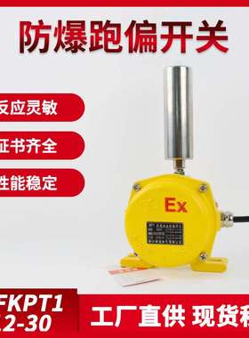 防爆跑偏开关BKPT1防爆KPT1-12-30防爆两级跑偏开关BKPT1-12-30