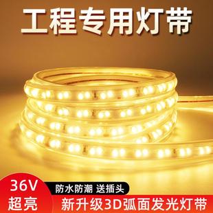 低压36V高亮LED灯带2835双排户外防水线型灯带工程隧道地下室养殖