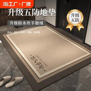 地垫入户门进门地毯门口家用门垫防滑客厅轻奢脚垫可裁剪耐脏