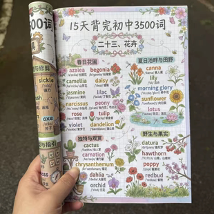 初中英语15天牢记初中3500词汇初中全阶段通用趣味漫画合集笔记本