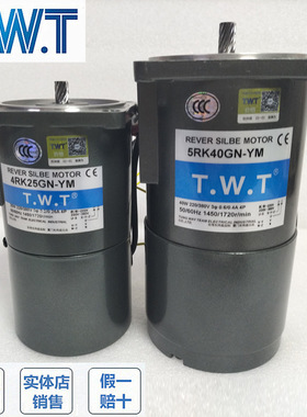 TWT电机4IK25GN-Y 5IK40GN-Y 4RK25GN-YM 5RK40GN-YM