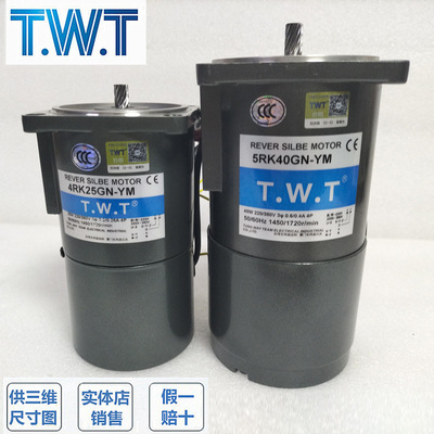 TWT电机4IK25GN-Y 5IK40GN-Y 4RK25GN-YM 5RK40GN-YM