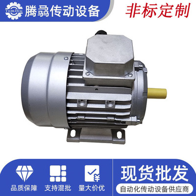 电动机厂家直销BRUNI三相异步交流电机 0.09KW~200KW 非标可定