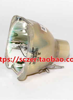 适用理光PcJ KX10000/PJ KU9000/PJ KU650/PJ KU600投影仪机灯泡