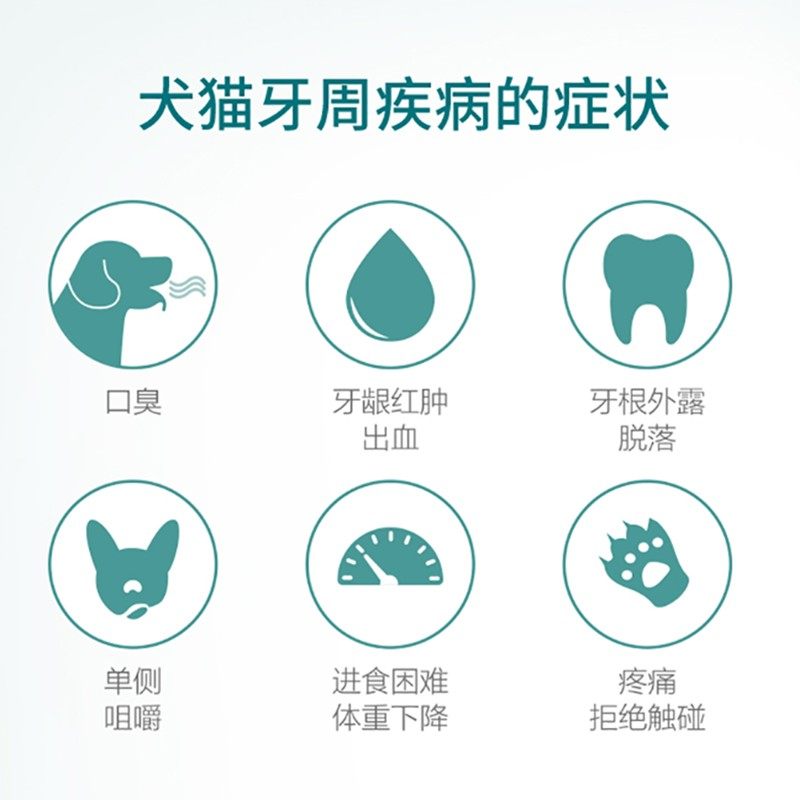 极速维克牙膏猫咪牙刷牙膏套装A狗狗刷牙宠物口臭可食用牙膏清洁,宠物/宠物食品及用品,猫狗牙膏/牙具,淘宝优惠券,粉丝福利购,淘宝优惠卷