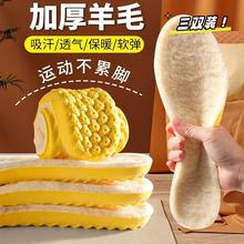 羊毛鞋垫男士防臭防脚气保暖加厚增高鞋垫运动透气吸汗女士秋冬季