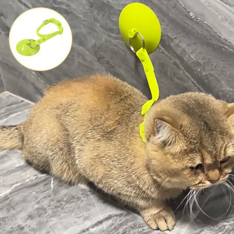 猫咪狗狗美容清洁洗澡绑带项圈可拆卸吸盘宠物防挣脱固定器