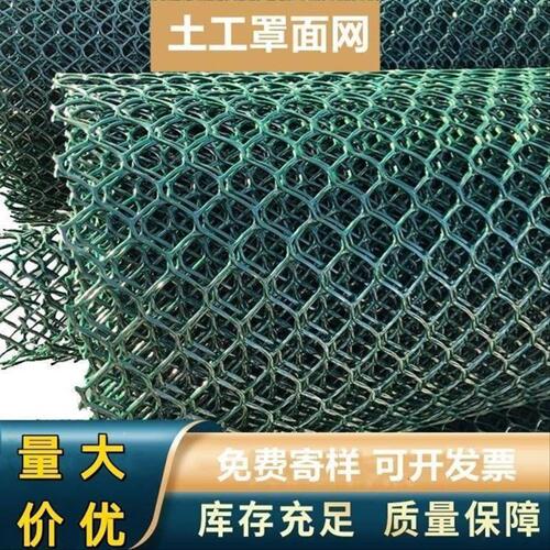 山体护坡土工网垫HDPE土工网CE131CE151罩面网爬藤网攀爬网