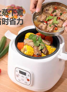两年质保车载电饭煲12V24