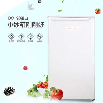 新款冰箱家用迷你公寓宿舍用单门冷藏冷饮微冷冻小冰箱工厂