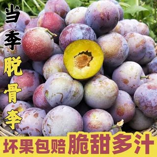 李子新鲜水果脱骨李脆甜当季应季孕妇助农现摘新鲜四川脱骨李子