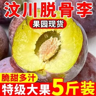 四川脱骨李五月青脆李子应季新鲜水果当季孕妇大果李子新鲜水果