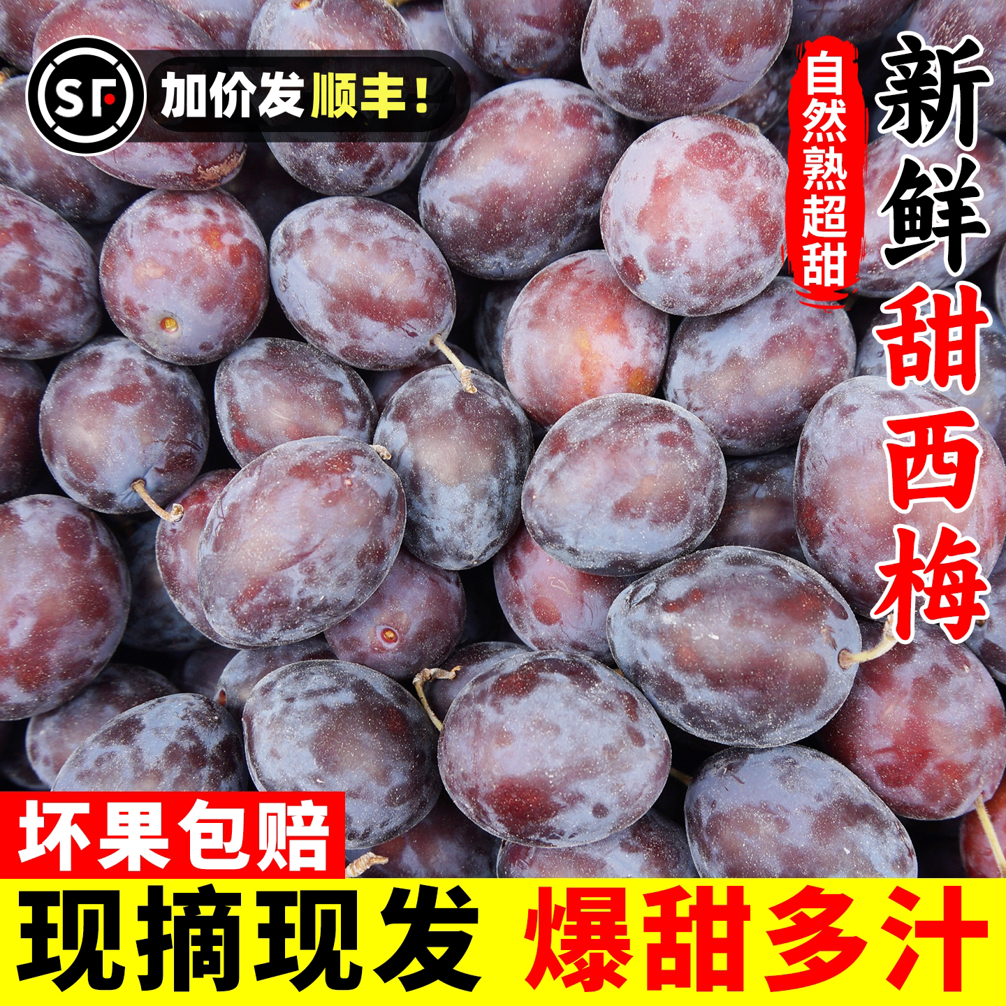 新鲜西梅四川李子应季新鲜鲜果水果正宗酸甜西梅薄皮批发零售包邮